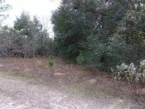 2009 Lorena St, Inverness, FL 34453