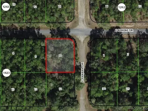 438 E Bimini Dr, Citrus Springs, FL 34434