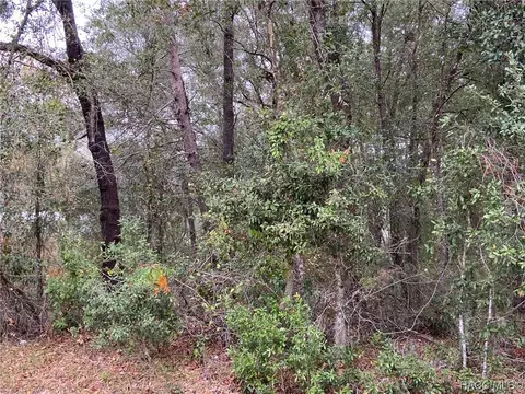3604 E Maxwell Pl, Inverness, FL 34453 photo 2