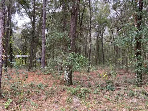 3604 E Maxwell Pl, Inverness, FL 34453