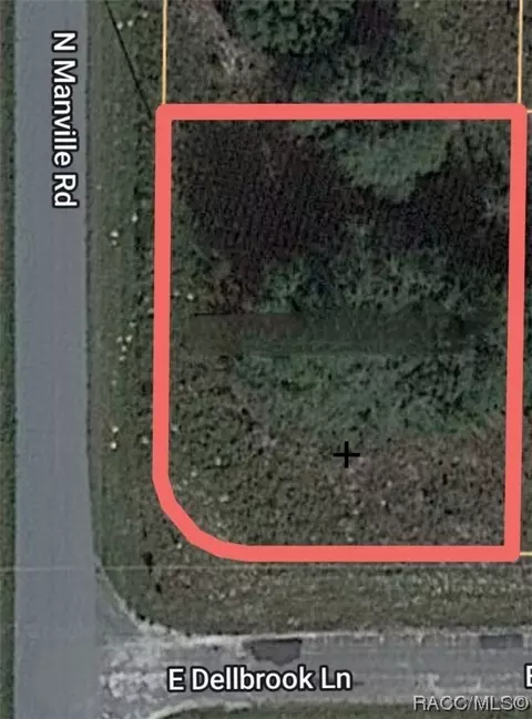 811 E Delbrook Ln, Citrus Springs, FL 34434