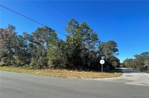 4150 W Dumas Ln, Citrus Springs, FL 34433