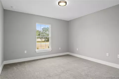 412 E Samuel Ct, Hernando, FL 34442 photo 29