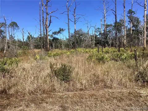 11863 W Cockscomb Dr, Crystal River, FL 34428