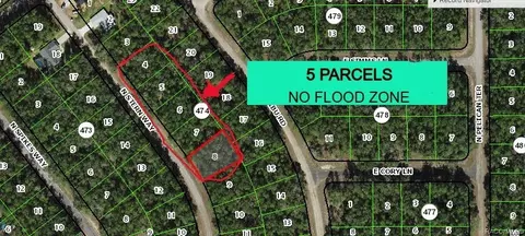 8599 Stern Way, Citrus Springs, FL 34434