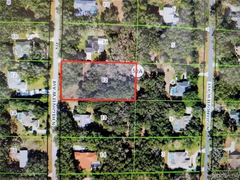 427 N Highview Ave, Hernando, FL 34442