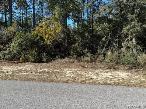 9916 N Fairy Lily Dr, Citrus Springs, FL 34433