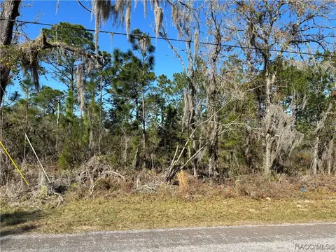 7658 N Voyager Dr, Citrus Springs, FL 34433