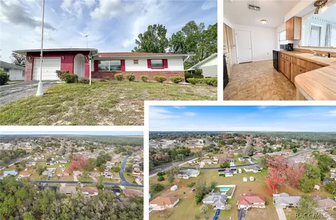 3215 N Camomile Way, Beverly Hills, FL 34465