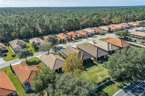 View/Area - 1601 W Laurel Glen Path, Hernando, FL 34442 photo 6 of 16