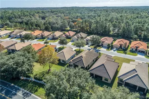 View/Area - 1601 W Laurel Glen Path, Hernando, FL 34442 photo 5 of 16
