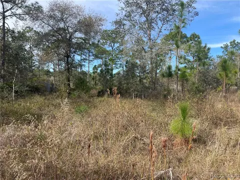 11362 S Rosewater Pt, Homosassa, FL 34446