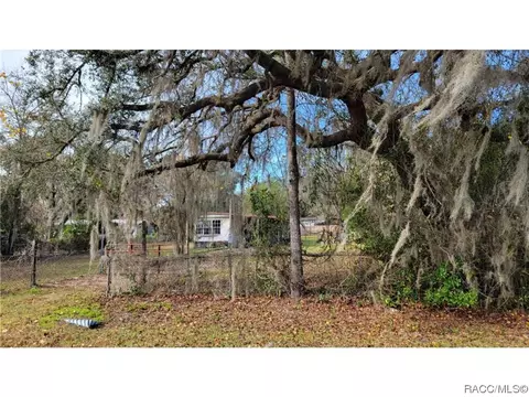 6828 N Birch Ter, Hernando, FL 34442 photo 5