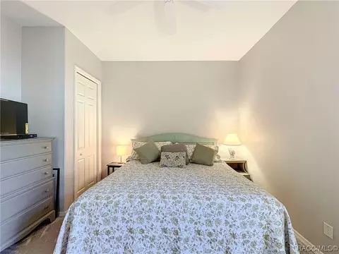 1152 W Beagle Run Loop, Hernando, FL 34442 photo 40