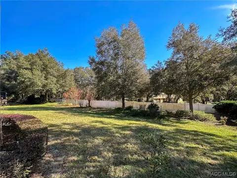 1152 W Beagle Run Loop, Hernando, FL 34442 photo 61