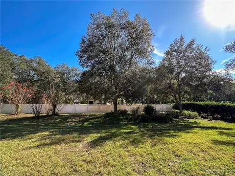 1152 W Beagle Run Loop, Hernando, FL 34442 photo 60