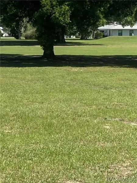 621 E Dakota Ct, Hernando, FL 34442 photo 2