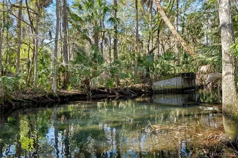 8960 W White Dogwood Dr, Homosassa, FL 34448