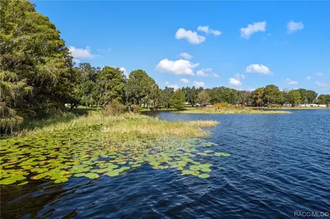 View/Area - 3944 E Lake Bellamy Ln, Hernando, FL 34442 photo 9 of 10