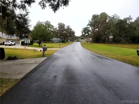 2916 N Chandler Dr, Hernando, FL 34436 photo 5