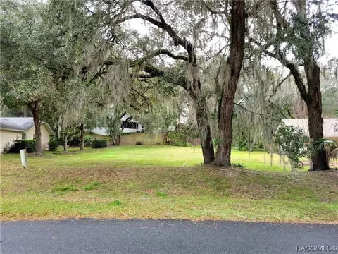 2916 N Chandler Dr, Hernando, FL 34436 photo 4