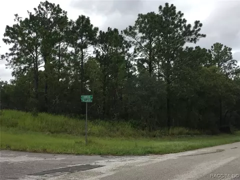 7329 N Firwood Cir, Citrus Springs, FL 34433