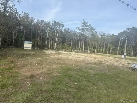 11029 W London Ln, Homosassa, FL 34448