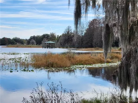 3508 E Cove Park Trl, Hernando, FL 34442 photo 78