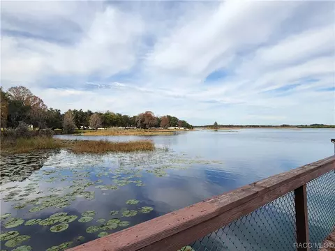 3508 E Cove Park Trl, Hernando, FL 34442 photo 72
