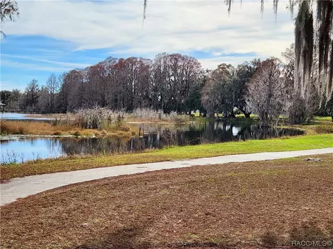 3508 E Cove Park Trl, Hernando, FL 34442 photo 75