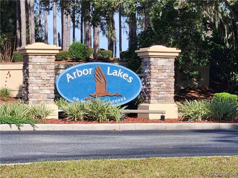 3508 E Cove Park Trl, Hernando, FL 34442 photo 53
