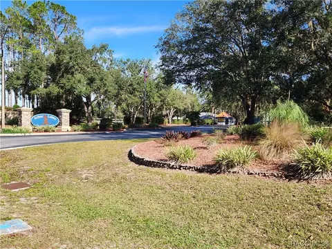 3508 E Cove Park Trl, Hernando, FL 34442 photo 54