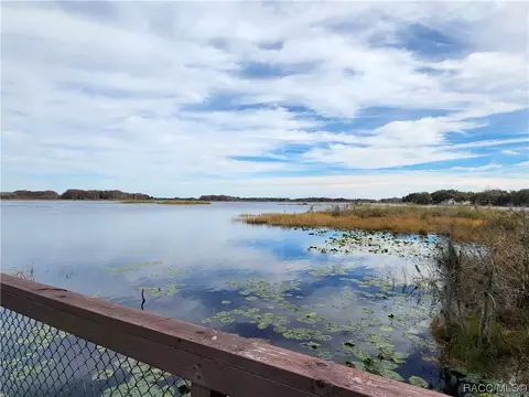 3508 E Cove Park Trl, Hernando, FL 34442 photo 71