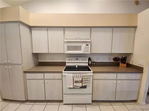 3508 E Cove Park Trl, Hernando, FL 34442 photo 25