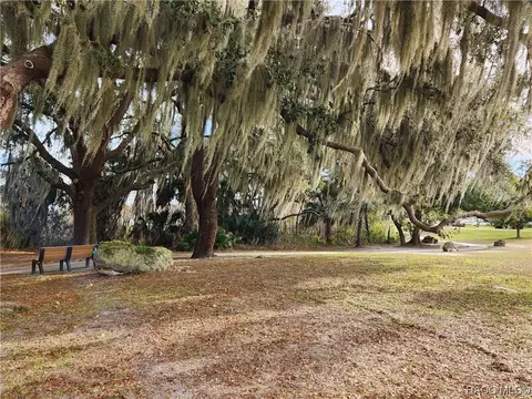 3508 E Cove Park Trl, Hernando, FL 34442 photo 74
