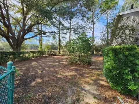 3508 E Cove Park Trl, Hernando, FL 34442 photo 7