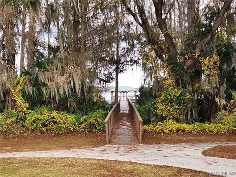 3508 E Cove Park Trl, Hernando, FL 34442 photo 69