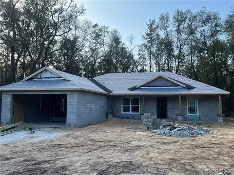 10046 N Athenia Dr, Citrus Springs, FL 34434