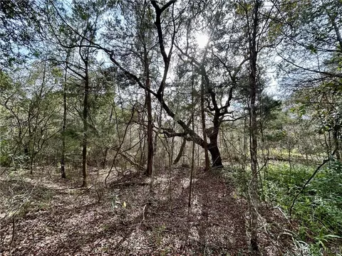 0 N Coloxa Pt, Floral City, FL 34436