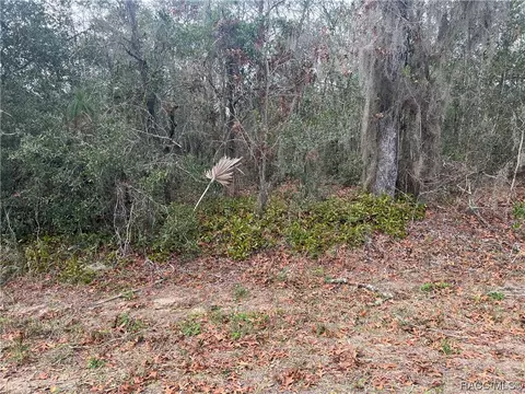 1895 E Monopoly Loop, Inverness, FL 34453 photo 6