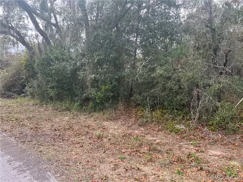 1895 E Monopoly Loop, Inverness, FL 34453 photo 8