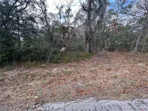 1895 E Monopoly Loop, Inverness, FL 34453 photo 4