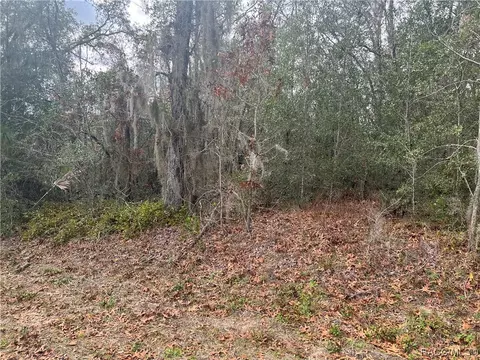 1895 E Monopoly Loop, Inverness, FL 34453 photo 7