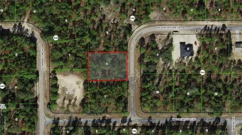 4126 W Dorchester Cir, Citrus Springs, FL 34433