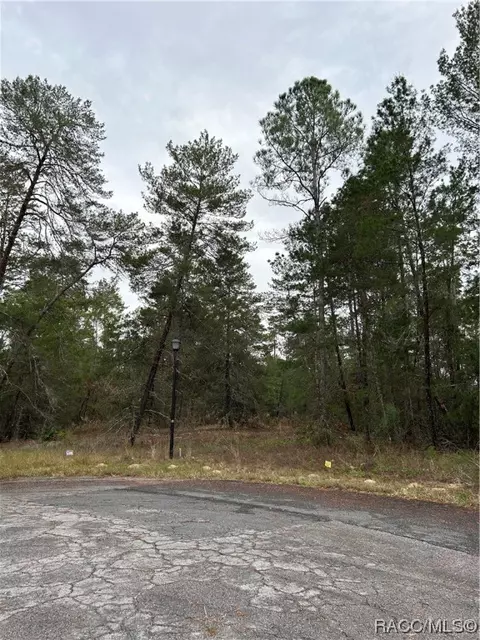 10 Crossandra Ct E, Homosassa, FL 34446