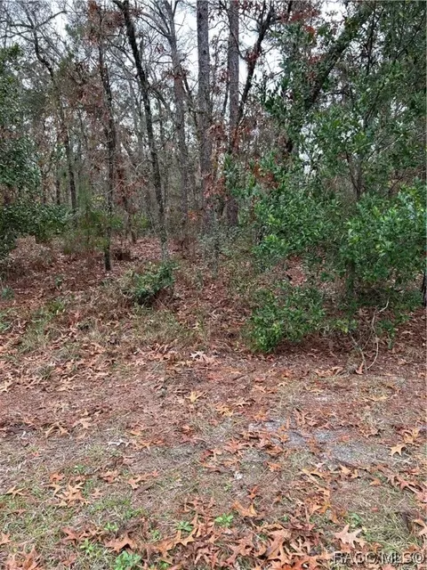 36 Cyclamen Ct, Homosassa, FL 34446