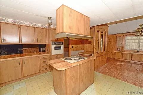 795 W Sharp Ln, Lecanto, FL 34461 photo 9