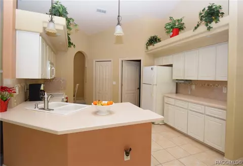 1131 E Bluebird Ct, Hernando, FL 34442 photo 9