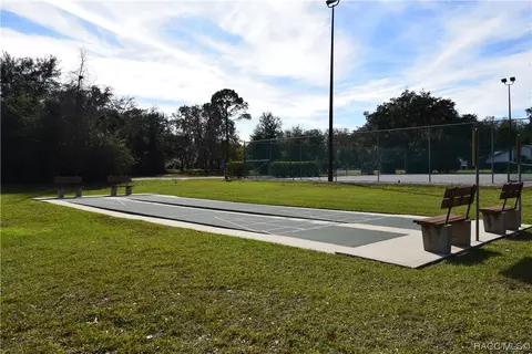 1131 E Bluebird Ct, Hernando, FL 34442 photo 41