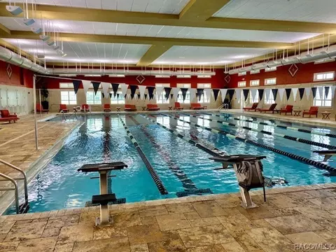 1648 W Spring Meadow Loop, Lecanto, FL 34461 photo 48